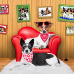 PTDECOR Valentine Dog Bandana, Reversible Valentine Pet Scarf - Image 3
