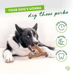 Small 3-Pack, Benebone Wishbone Durable Dog Chew Toy - Image 3
