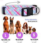 Native Pup Easter Dog Collar, Cute Spring Gift - Image 3