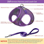 AIITLE Step in Dog Harness and Leash Set - Image 2