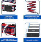 NFL PET Collar New England Patriots Dog Collar, Large Football Team Collar - Image 6