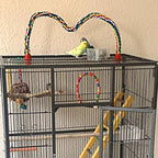 Bird Rope Perches for Parrots, Cockatiels, Budgie Cages Comfy Birds Colorful - Image 3