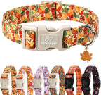 Fall Dog Collar Cute Autumn Leaves Puppy Collar by Babolepet