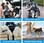 Dog Lift Harness Sling Carrier for Dogs Hind Leg Stair Support Old, Joint - Image 5