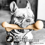 Pet Qwerks Dinosaur BarkBone - Image 8