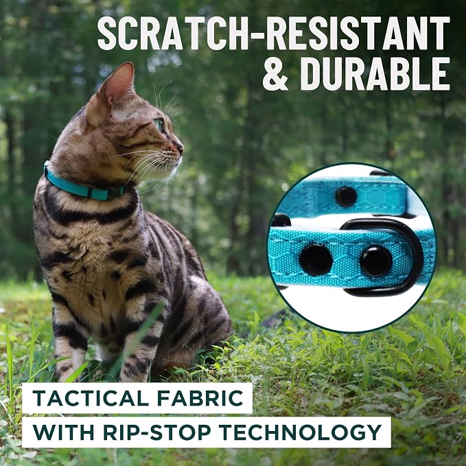 OutdoorBengal Black Breakaway Kitten Collar - Image 4