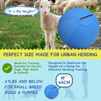 Herding Ball for Dogs and Horses - Image 2