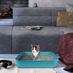 Small Litter Box, Plastic Kitten Litter Box, 13.9 x 9.8 x 3 Inch Open Litter Box - Image 7