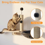 Cat Wall Shelves, Wooden Multi-Level Cat Climbing Furniture, Sisal Scratcher - Image 3