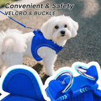 PetiFine Step in Small Dog Harness and Leash Set, Breathable All Weather Air - Image 3