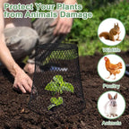 20 Pcs 9"×9" Chicken Wire Plant Protectors from Animals, Plant Cage Garden - Image 6