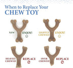 Nylabone Gourmet Style Femur, & Stick Strong Chew Toy - Image 11