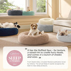 Bedsure Calming Cat Beds for Indoor Cats - Image 6