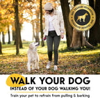 PetJett Prong Collar for Dogs - Image 2