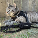 Best Pet Supplies Voyager Step-in Air All Weather Mesh Harness and Reflective - Image 8