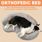 Orthopedic Memory Foam Dog Bed for Medium Sized Dog - Image 5