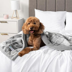 PetAmi Waterproof Dog Blanket for Medium Large Dog Puppy Cat Throw for Couch - Image 7
