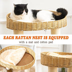 Modern Cat Tree for Indoor Cats, Wood Cat Tree - Image 3