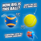 Chuckit! Ultra & Squeaker Ball Dog Toy - Image 5