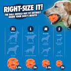 Chuckit! Air Fetch Ball Dog Toy, - Image 3