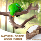 6-Piece Bird Perch Set - Image 2