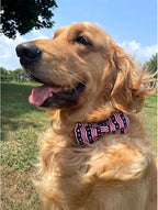 Lionheart glory American Flag Dog Collar, 4 of July Dog Bow Collar Heavy Duty - Image 2