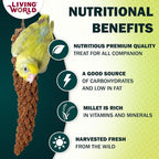 Living World – Millet Spray for Birds, 5 Pounds – Premium Treat for Budgies - Image 2