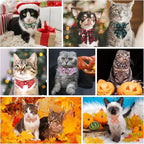Halloween Cat Collar with Bells & Cute Pendant - Image 6