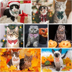 Christmas Cat Collar with Bells & Cute Pendant - Image 6