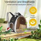 Bearded Dragon Travel Backpack - Image 5