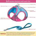 AIITLE Step in Dog Harness and Leash Set - Image 3
