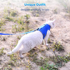 Kitty Harness and Leash for Walking Escape Proof Breathable Mesh Fabric - Image 9