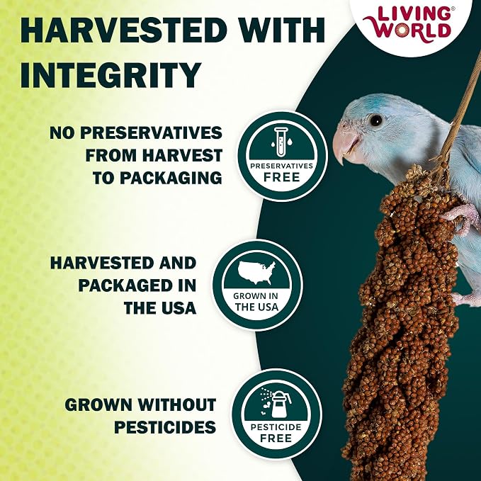 Living World – Millet Spray for Birds, 7 Oz – Premium Treat for Budgies - Image 3