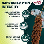 Living World – Millet Spray for Birds, 5 Pounds – Premium Treat for Budgies - Image 3
