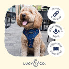 Lucy & Co. Cute Reversible Dog Harness Walking Halter - Image 4