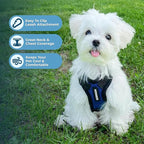 Voyager Step-in Pet Harness - Image 3