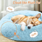 JOLLYVOGUE Calming Small Dog & Cat Bed - Image 2
