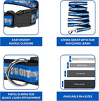 NFL PET Collar Detroit Lions Dog Collar, Small Football Team Collar - Image 6