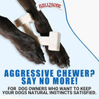Bullibone Nylon Dog Chew Toy Spin-a-Bone - Image 6