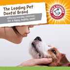 Arm & Hammer for Pets Nubbies Dental Toys T-Rex Dental Chew Toy for Dogs Best - Image 6