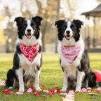 ADOGGYGO Valentine Dog Bandanas 2 Pack, Reversible Heart Love Print Pet Scarf - Image 2