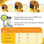 MORIK Lion's Den: Pet Backpack Carrier - Image 4