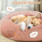 JOLLYVOGUE Calming Dog Bed Large Size Dog, Anti-Anxiety Donut Large Pet Bed - Image 2