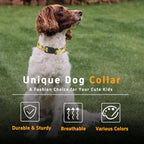 Puppy Collar for Small, Large Dogs - Image 5