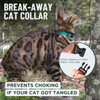 OutdoorBengal Black Cat Collar Breakaway, Soft Padding - Image 2