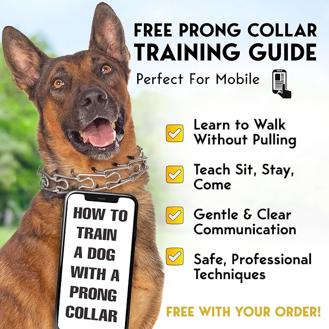 PetJett Choke Collar for Dogs Training Collar Adjustable Prong Collar for Dog - Image 7