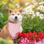 ADOGGYGO Floral Dog Bandana 2 Pack, Reversible Pink Daisy Puppy Scarf Bib - Image 2