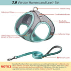 AIITLE Easy Walk Dog Harness and Leash Set - Image 4