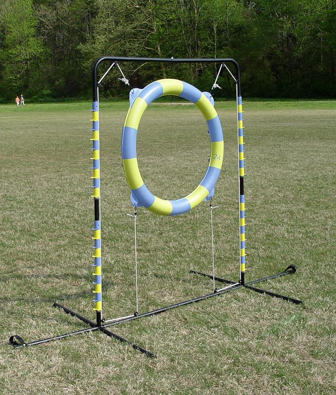 Agility Tire Jump - Image 3