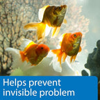 API 5-IN-1 TEST STRIPS Freshwater and Saltwater Aquarium Test Strips 4-Count Box - Image 5